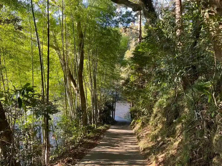 大國魂神社の自然