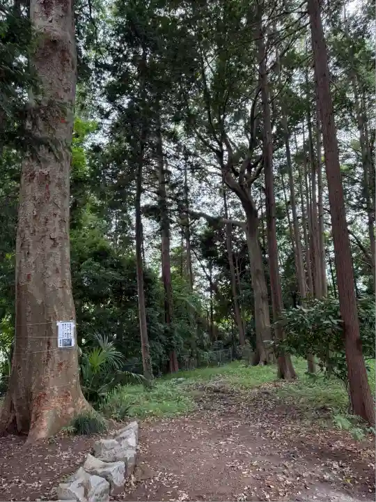 諏訪神社(神奈川県)