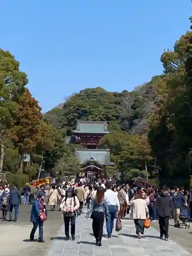 鶴岡八幡宮の景色