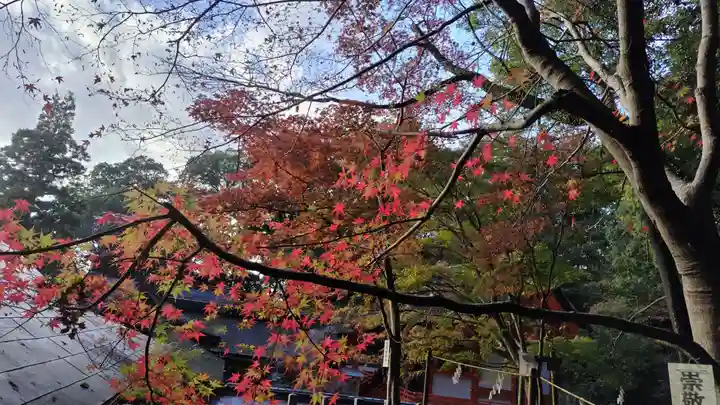 出雲大神宮の周辺
