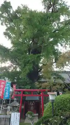 大福田寺(三重県)