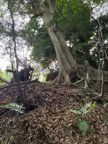 神社（名称不明）(千葉県)