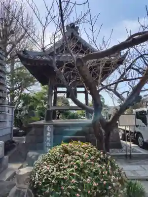 大蓮寺(千葉県)