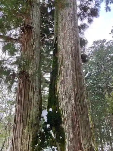 星宮神社(岐阜県)