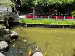 西宮神社(兵庫県)