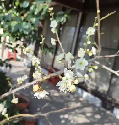 出雲大社倉敷教会(岡山県)