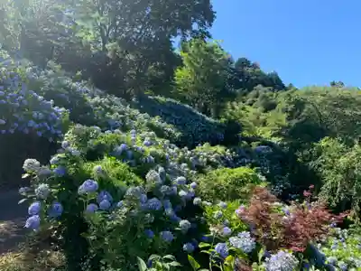 妙法生寺の自然