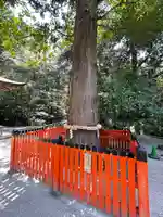 鷺森神社の自然