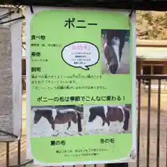 鳥取東照宮（樗谿神社）の建物その他