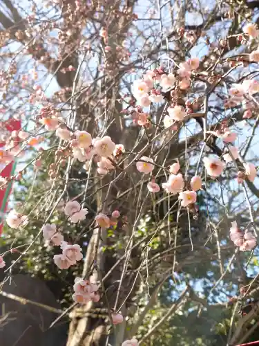 弘明寺の{uncategorized: "未分類", other: "その他", undefined: "問題あり", building: "その他建物", grave: "お墓", sacred_gate: "鳥居", guardian: "狛犬", statue: "像", buddha: "仏像", history: "歴史", nature: "自然", garden: "庭園", animal: "動物", pagoda: "塔", temizu: "手水舎", mountain_gate: "山門・神門", sanctuary: "本殿・本堂", subordinate: "末社・摂社", art: "芸術", scenery: "景色", jizo: "地蔵", ema: "絵馬", goshuin: "御朱印", omikuji: "おみくじ", items: "授与品その他", amulet: "お守り", goshuincho: "御朱印帳", eats: "食事", festival: "お祭り", votive_dance: "神楽", shichigosan: "七五三参", wedding: "結婚式", experience: "体験その他", initially: "初詣", around: "周辺", anti_infection: "感染症対策"}