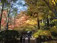 龍安寺(京都府)