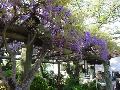 林光寺の庭園