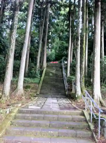 箱根神社の自然