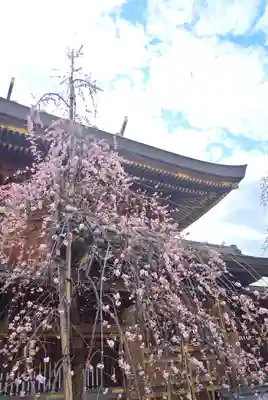 湯島天満宮(東京都)