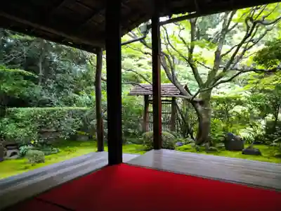 桂春院(京都府)