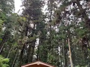 大宮温泉神社(栃木県)(2023年05月21日(日) 07時49分04秒投稿)