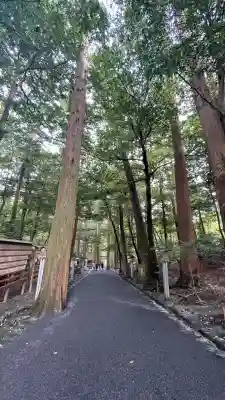 椿大神社(三重県)