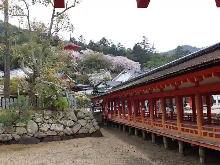 厳島神社(広島県)