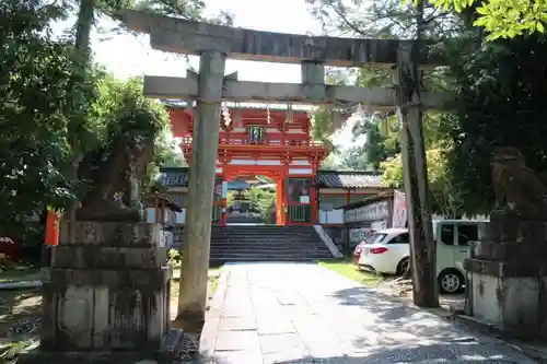 新日吉神宮の狛犬