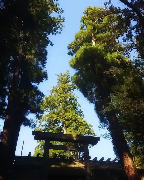 伊勢神宮の鳥居