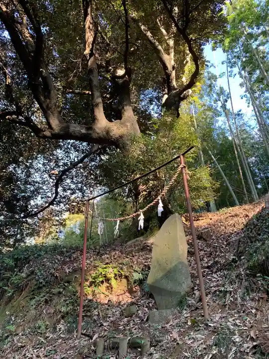 諏訪神社(千葉県)