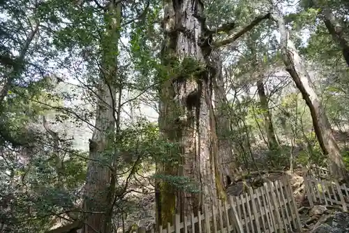 玉置神社(奈良県)