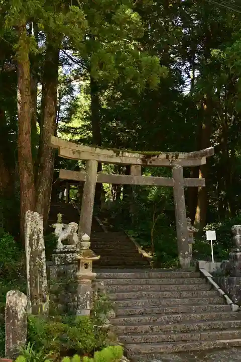 三島神社(藤縄森三島神社)(愛媛県)