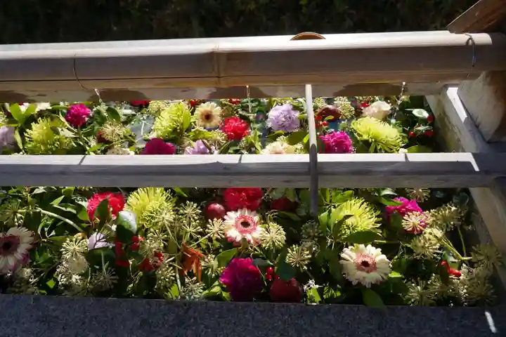 豊景神社の手水舎