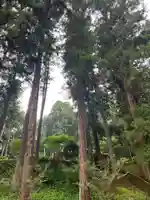 大宮温泉神社(栃木県)
