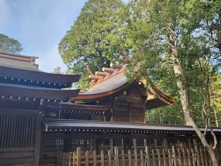 大麻比古神社の本殿・本堂