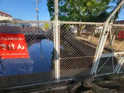 柳神社(愛媛県)