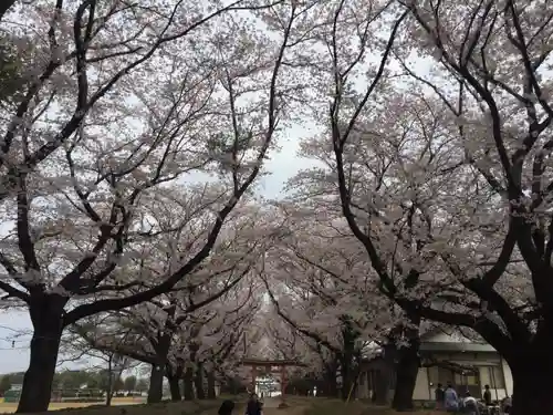 東蕗田天満社の自然