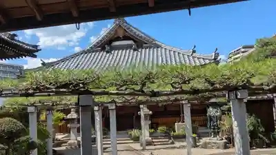 願林寺(滋賀県)