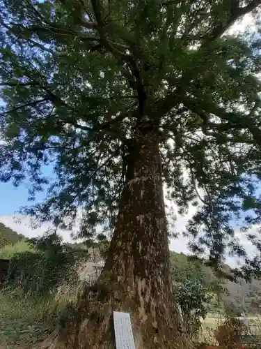橋本院の{uncategorized: "未分類", other: "その他", undefined: "問題あり", building: "その他建物", grave: "お墓", sacred_gate: "鳥居", guardian: "狛犬", statue: "像", buddha: "仏像", history: "歴史", nature: "自然", garden: "庭園", animal: "動物", pagoda: "塔", temizu: "手水舎", mountain_gate: "山門・神門", sanctuary: "本殿・本堂", subordinate: "末社・摂社", art: "芸術", scenery: "景色", jizo: "地蔵", ema: "絵馬", goshuin: "御朱印", omikuji: "おみくじ", items: "授与品その他", amulet: "お守り", goshuincho: "御朱印帳", eats: "食事", festival: "お祭り", votive_dance: "神楽", shichigosan: "七五三参", wedding: "結婚式", experience: "体験その他", initially: "初詣", around: "周辺", anti_infection: "感染症対策"}