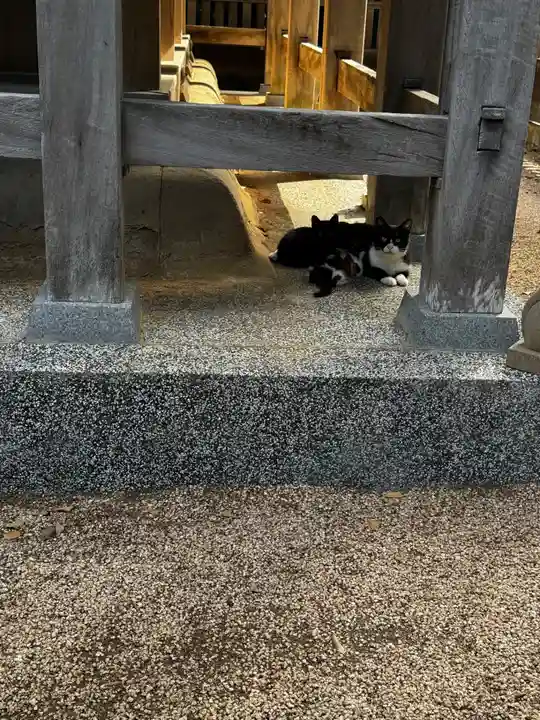 松江城山稲荷神社(島根県)