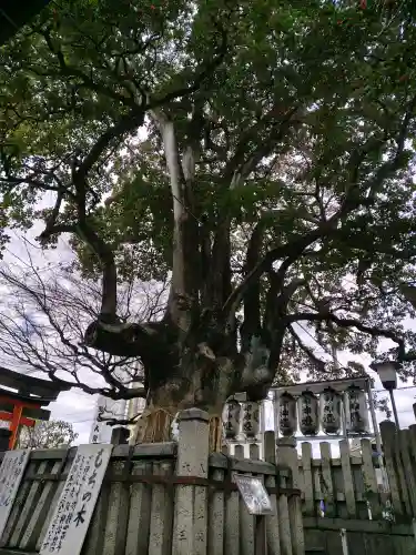 満足稲荷神社の{uncategorized: "未分類", other: "その他", undefined: "問題あり", building: "その他建物", grave: "お墓", sacred_gate: "鳥居", guardian: "狛犬", statue: "像", buddha: "仏像", history: "歴史", nature: "自然", garden: "庭園", animal: "動物", pagoda: "塔", temizu: "手水舎", mountain_gate: "山門・神門", sanctuary: "本殿・本堂", subordinate: "末社・摂社", art: "芸術", scenery: "景色", jizo: "地蔵", ema: "絵馬", goshuin: "御朱印", omikuji: "おみくじ", items: "授与品その他", amulet: "お守り", goshuincho: "御朱印帳", eats: "食事", festival: "お祭り", votive_dance: "神楽", shichigosan: "七五三参", wedding: "結婚式", experience: "体験その他", initially: "初詣", around: "周辺", anti_infection: "感染症対策"}