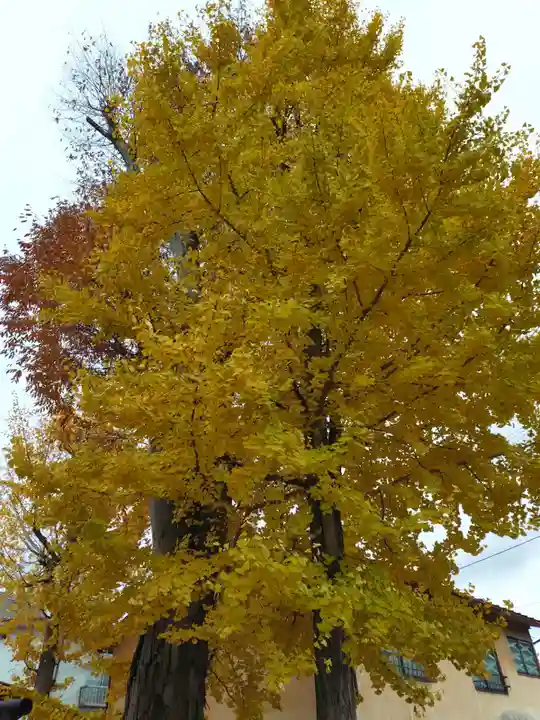 阿邪訶根神社(福島県)