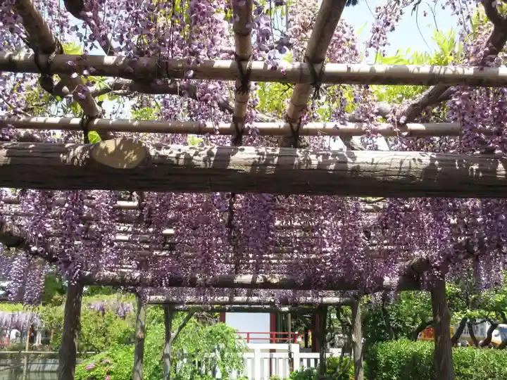 亀戸天神社の庭園