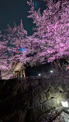 知恩院(京都府)