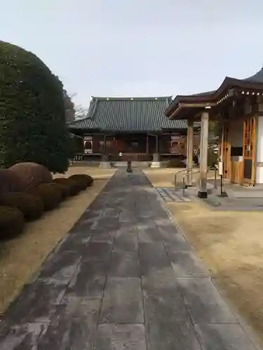 廣渡寺(埼玉県)