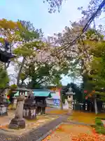 神明社(馬引)の自然