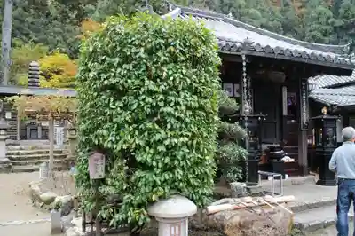 法起院のその他建物