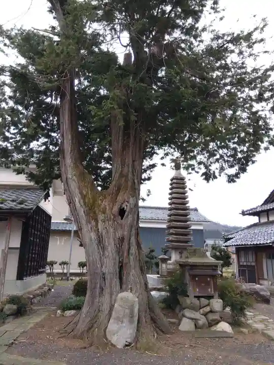 秀香寺(福井県)