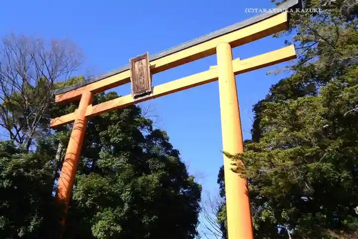 川越氷川神社(埼玉県)