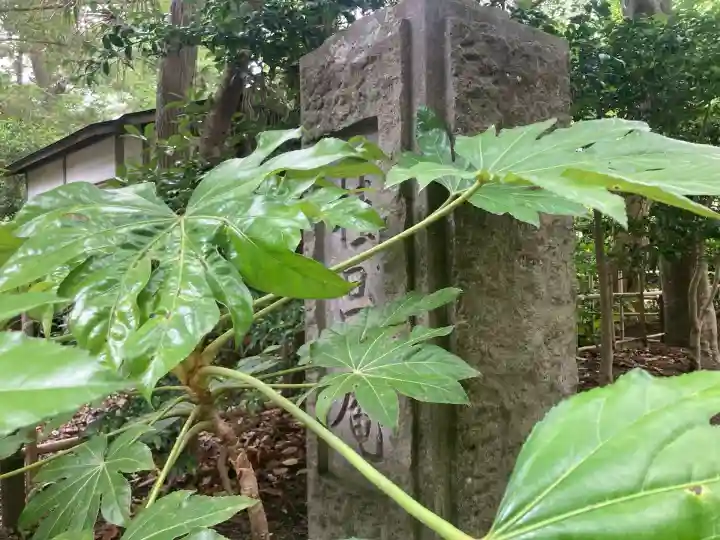 桂昌庵(神奈川県)