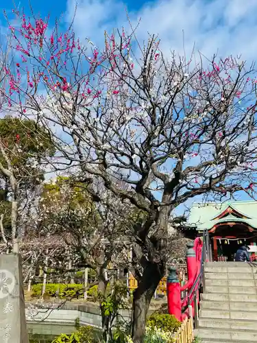 亀戸天神社(東京都)
