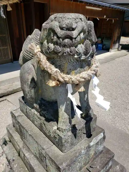 槌宮神社の狛犬