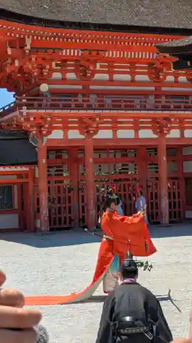賀茂御祖神社（下鴨神社）(京都府)