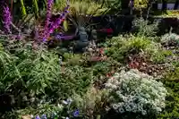 寿量山 速成寺の自然