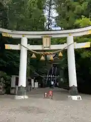 宝登山神社の鳥居